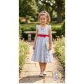 Mul Chanderi Elegant Frock -Grey